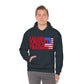 CIGARS, WHISKEY, GUNS & FREEDOM (Unisex Heavy Blend Hoodie)